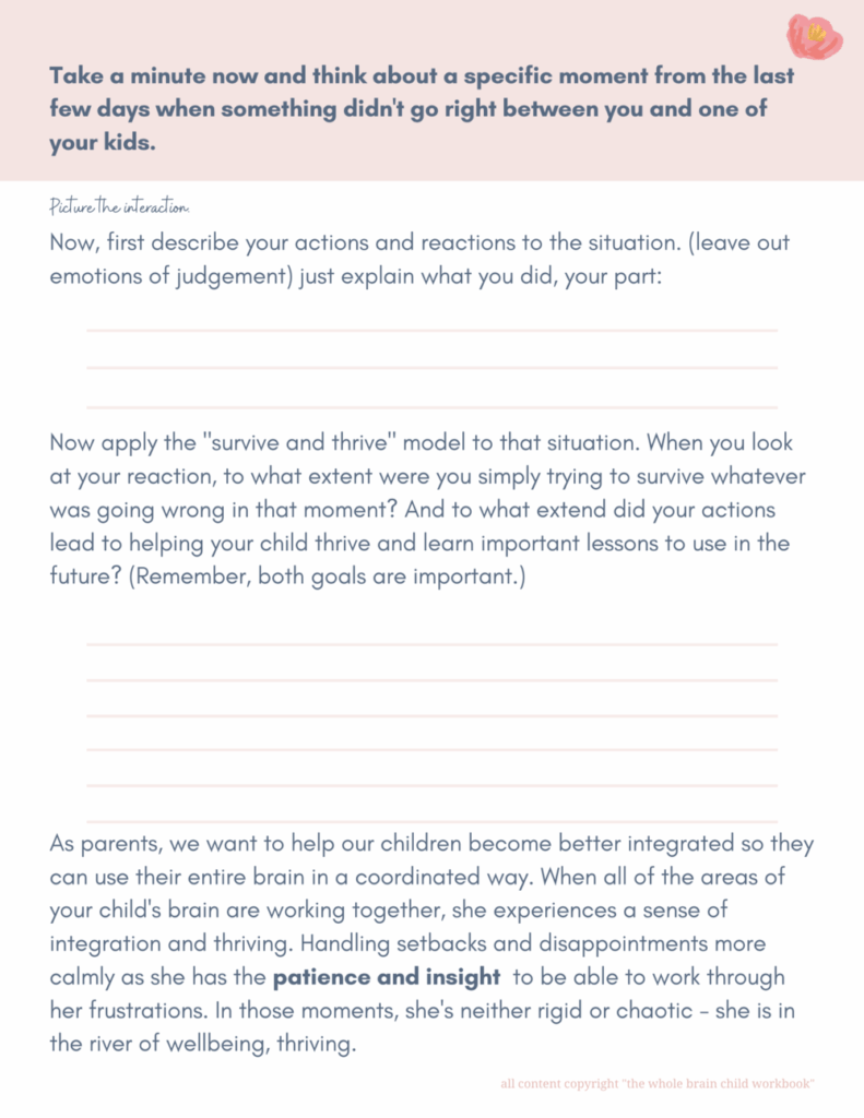 the whole brain child 5