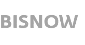 logo biznow