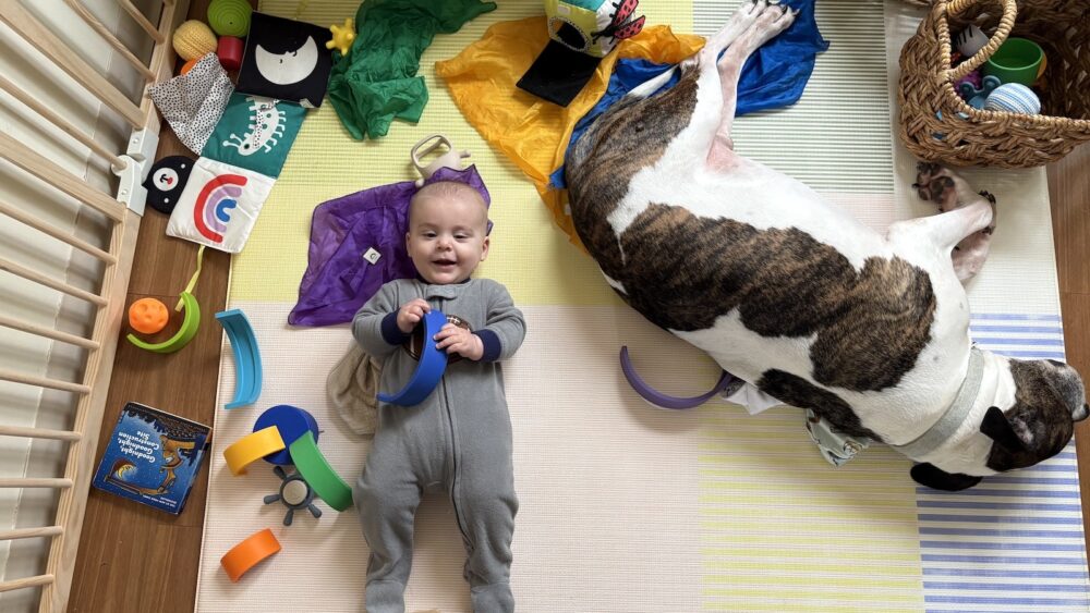 Introducing Your First Baby to Your New Baby 9 Introducing Your First Baby to Your New Baby