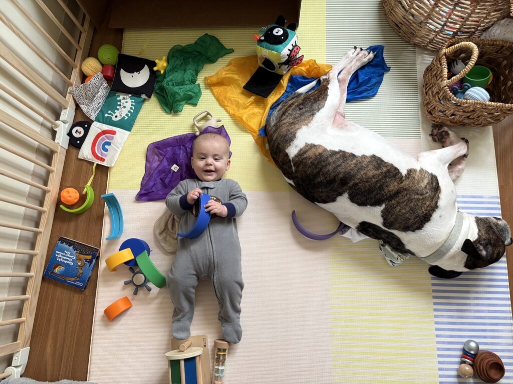 Introducing Your First Baby to Your New Baby 9 Introducing Your First Baby to Your New Baby