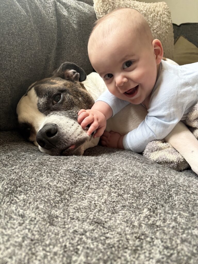 introduce first baby 2