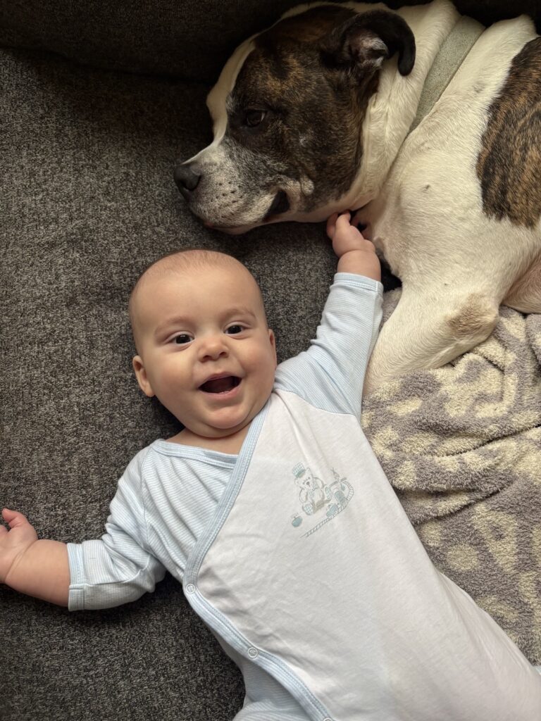 introduce first baby 3