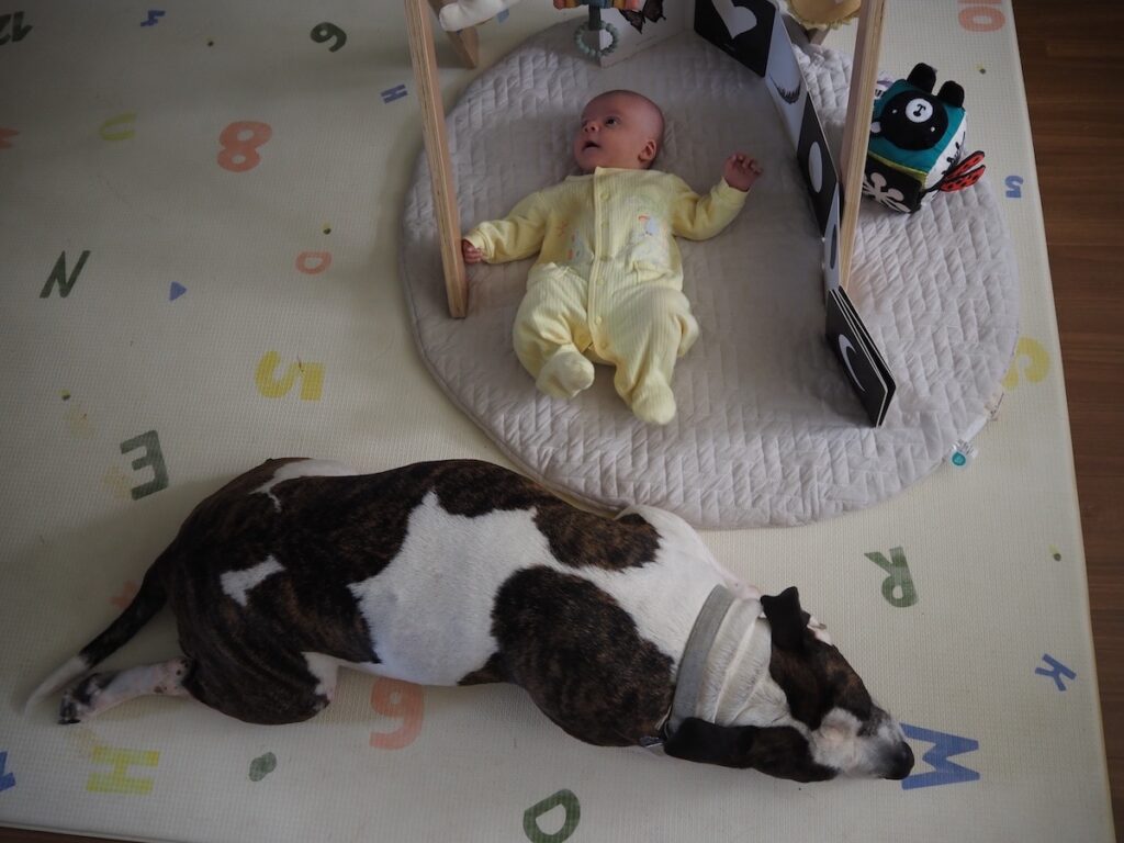 introduce first baby 4