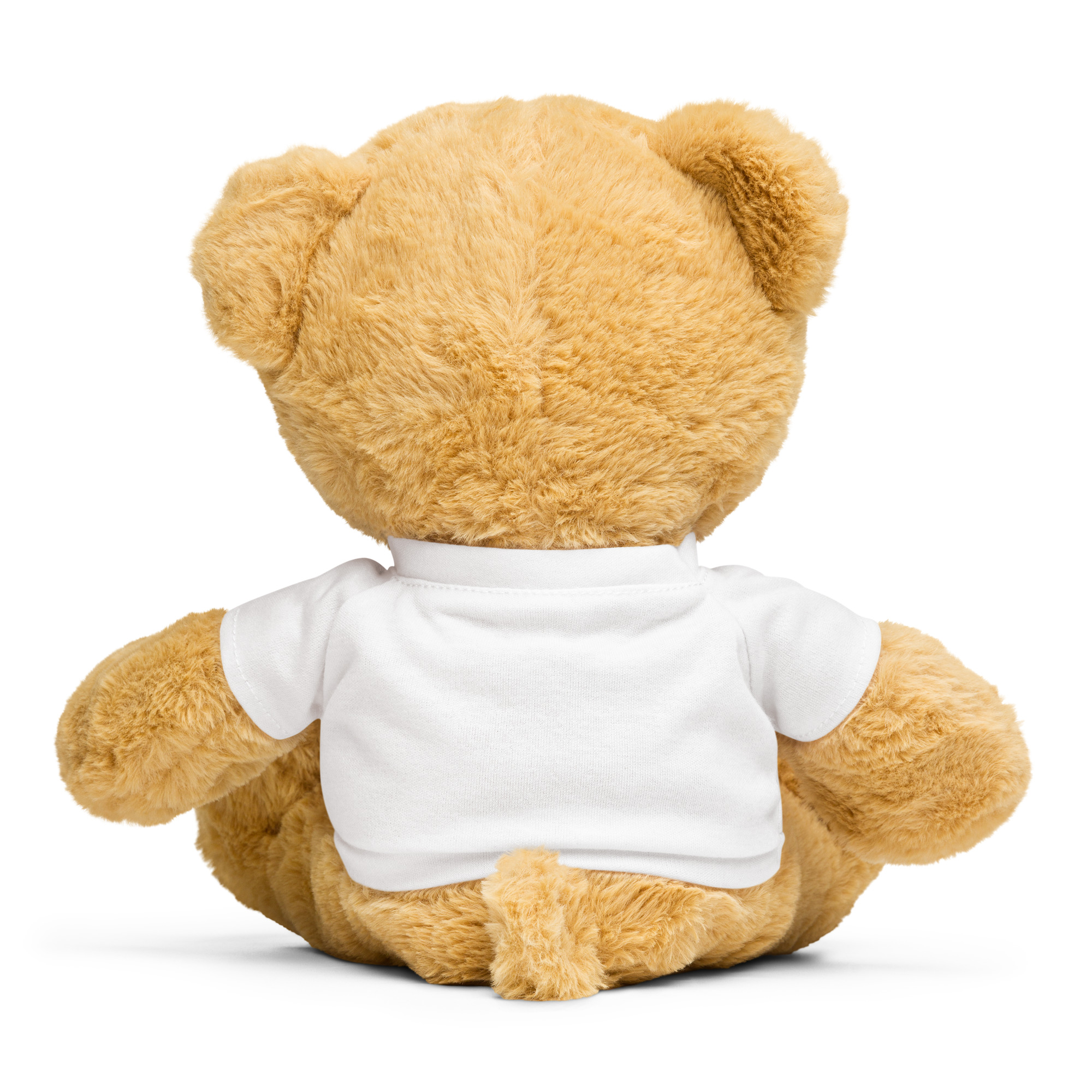 Teddy bear with a t-shirt 6 Teddy bear with a t-shirt - Image 2