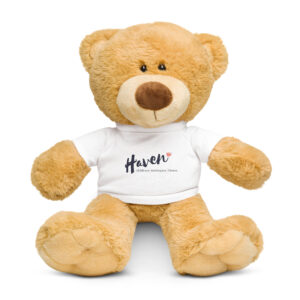 Teddy bear with a t-shirt